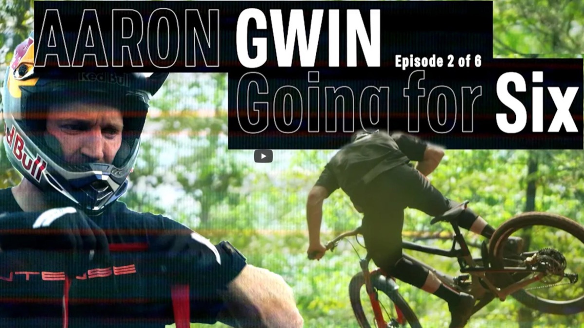  /images/stories/2022/aaron-gwin-going-for-six2-xl.jpg