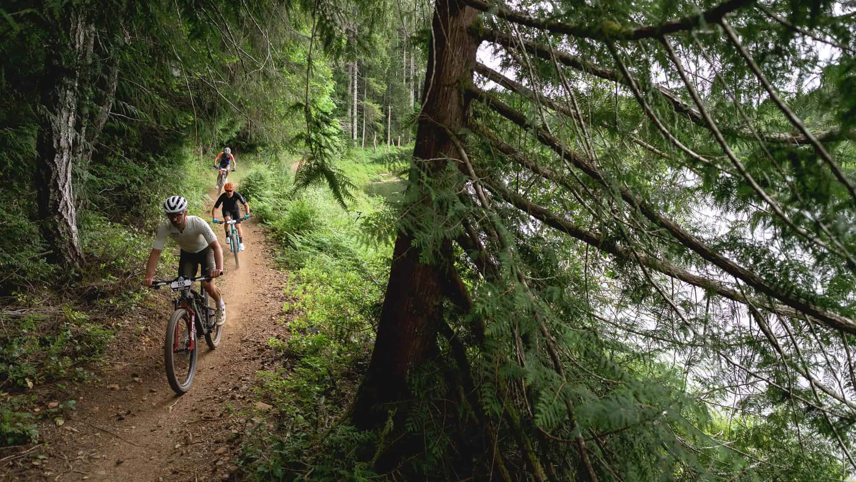 BC Bike Race Day 2.  Photo by David Silver